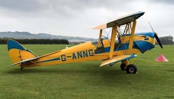 De Havilland DH82 aircraft for sale