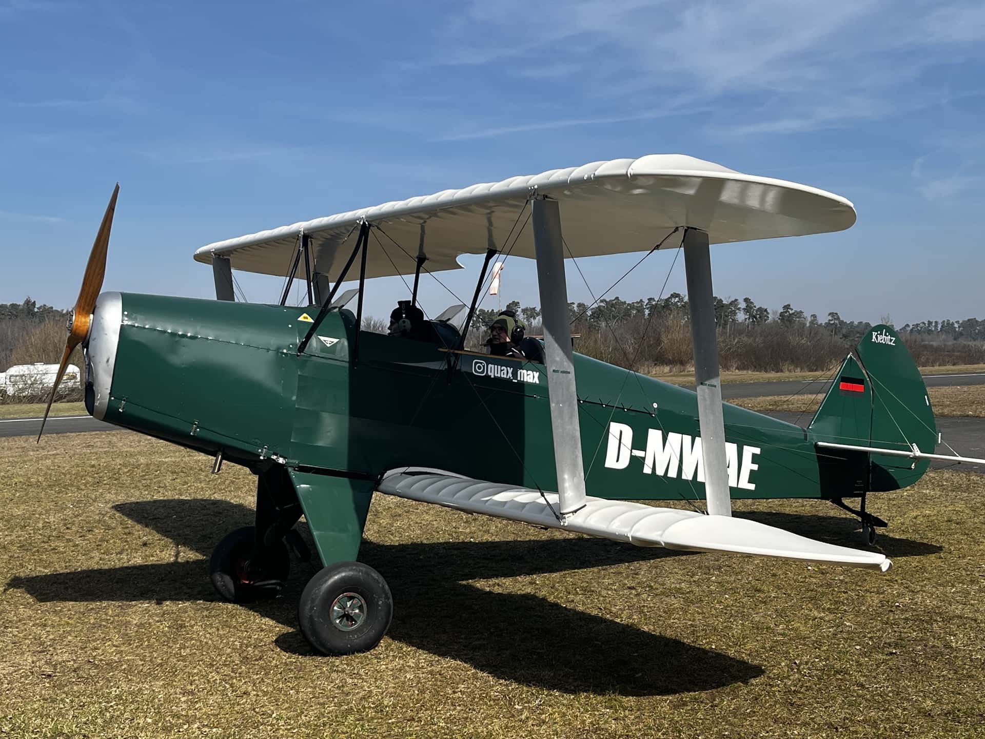 Platzer Kiebitz